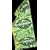 Survivor Buff Palau Green - Original, as seen on CBS's Survivor!