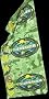 Survivor Buff Palau Green - Original, as seen on CBS's Survivor! Survivor Buff Palau Green - Original, as seen on CBS's Survivor!