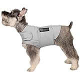 American Kennel Club Calm Anti-Anxiety and Stress Relief Coat for Dogs, Small