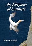 An elegance of gannets