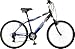 Mongoose Placid Men's Comfort Bike