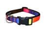 Medium Rainbow Dog Collar: 3/4" wide, Adjusts 13-20".