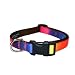 Medium Rainbow Dog Collar: 3/4" wide, Adjusts 13-20".