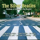 Tribute to the Beatles