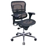 Ergohuman Mesh Ergonomic Chair Black Mesh/Chrome Frame