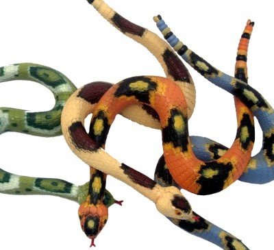 Childrens Toyshop  Toys : 12" Rubber Rattle Snakes