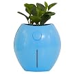 Grobal Self-Watering Flower Pot - Sky Blue