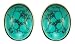 Silver Ladies Turquoise Stud Earrings