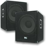 Seismic Audio - Enforcer II - Pair of PA 18