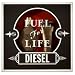Diesel Fuel For Life Pour Homme Gift Set