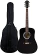 Fender FA-100 Limited Edition Dreadnought Acoustic Guitar with Gig Bag - Black