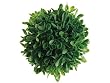 24 Pieces 4" Artificial Boxwood Ball Topiary Plan