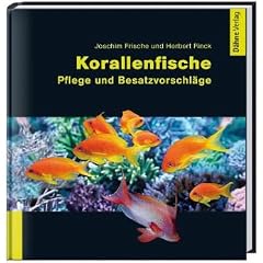 Korallenfische: Pflege und Besatzvorschl�ge