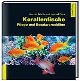 Korallenfische: Pflege und Besatzvorschl�ge
