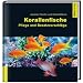 Korallenfische: Pflege und Besatzvorschl�ge