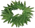 Beistle 57409 12-Pack Tropical Fern Leaf Headband, 20-Inch