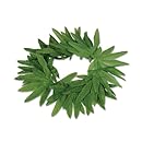 Beistle 57409 12-Pack Tropical Fern Leaf Headband, 20-Inch