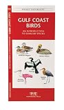 Gulf Coast Birds: An Introduction to Familiar Species (Regional Nature Guides)