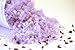 Lavender Signature Botanical Bulk Bath Salts Blend - 20 Lbs.
