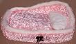 Pink Pet Bed W/ Pillow - Luxuriously Plush
