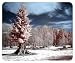 The Hemlock Stands Alone - 8x9 Inch Mouse Pad