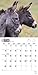 Donkeys 18-Month 2015 Calendar