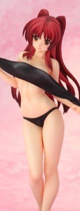 ToHeart2 ����� ~�Х��������ver.~ (1/6�������� PVC�����Ѥߴ�����)