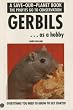 Gerbils As a Hobby (Save-Our-Planet)