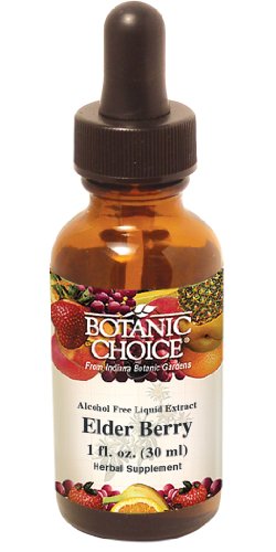 Botanic Choice Liquid Extract, Elder Berry, 1-Fluid Ounce (Pack of 2)
