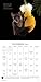 Bats 2017 Wall Calendar: Nature's Nocturnal Superheroes