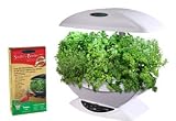 AeroGarden South of the Border Seed Kit