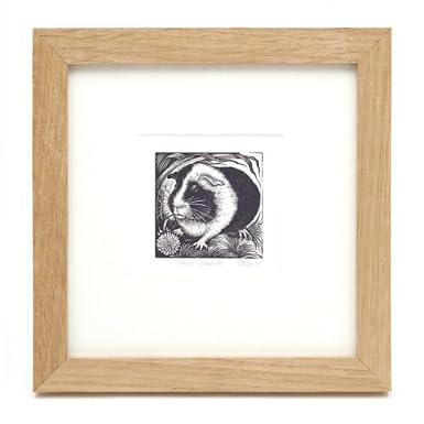 Maisie Guinea Pig (Framed Print)