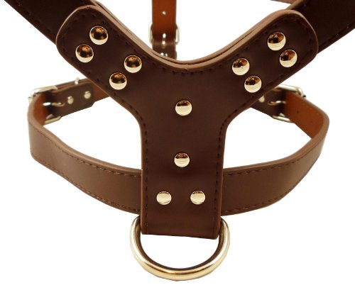Image #3 of Studded Brown Leather