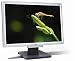 Acer AL1916WAS 19" Widescreen LCD Monitor - 5ms Response Time - Silver & Black