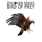 Birds of PreyDiscover Series Picture Book for Children (Kindle Kids Library)