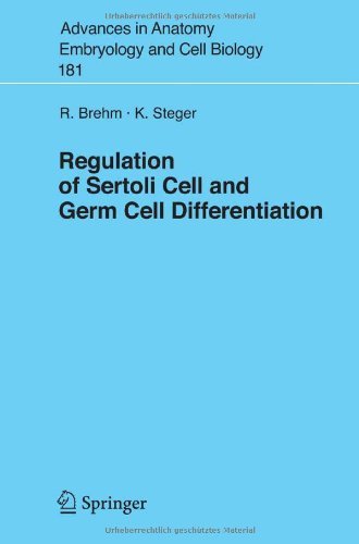 Regulation of Sertoli Cell and Germ Cell Differentiation: 181 (Advances in Anatomy, Embryology and Cell Biology)