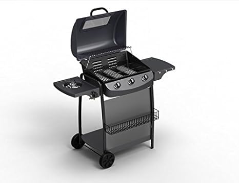 barbecue gaz darwin