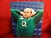 Ireland Rugby Star Rory Best Autographed 8x10 Photo, Proof Photo of Rory Signing for Us.