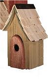 Heartwood - Wren in the Wind - Goldfinch