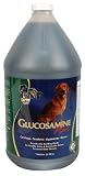 Glucosamine Plus - Gallon