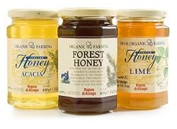 Asiago Orange Organic Honey 14oz