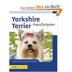 Yorkshire Terrier: Ihr PraxisRatgeber