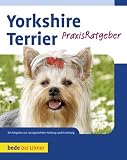Yorkshire Terrier: Ihr PraxisRatgeber
