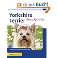 Yorkshire Terrier: Ihr PraxisRatgeber