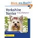 Yorkshire Terrier: Ihr PraxisRatgeber