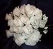 84 Silk Rose Flowers w/Raindrops - Wedding Flowers/Bridal/Floral - Ivory