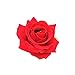 DreamLily Rose Flower Hair Clip Flamenco Dancer Pin up Flower Brooch BC10 (Red)