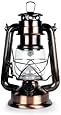 WeatherRite 5572 15 LED Number-5572 Outdoor Traditional Look Lantern with efficient LED lighting