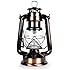 WeatherRite 5572 15 LED Number-5572 Outdoor Traditional Look Lantern with efficient LED lighting