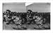 Historic Print (L): [Two men giving artificial respiration to another man on beach as crowd watches]